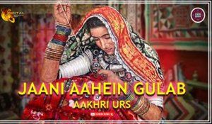 Jaani Aahein Gulaab | Aakhri Urs | Sindhi Song | Sindhi Gaana