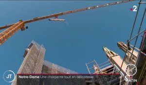Notre-Dame de Paris : les charpentiers travaillent à stabiliser l'édifice