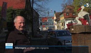 Allemagne : Uehlfeld, la capitale de la cigogne