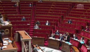 2ème séance : Réforme du courtage ; Ratification d'ordonnances pour faire face à l'épidémie de COVID-19 ; lutte contre la maltraitance animale (suite) - Mercredi 27 janvier 2021