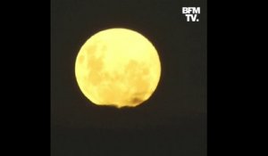Les plus belles images de la "Super Lune" observée partout dans le monde