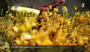 Auvergne : l'attachement des habitants pour le massif du Sancy