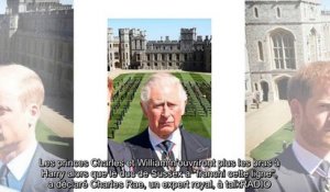 Le prince Harry a dépassé les limites - Charles et William « ne lui ouvriront plus les bras »
