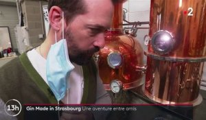Strasbourg : une distillerie artisanale produit des alcools locaux