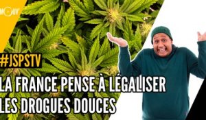 Je sais pas si t'as vu... La France pense à légaliser les drogues douces
