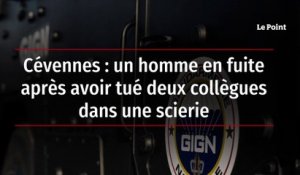 Cévennes : un homme en fuite après avoir tué deux collègues dans une scierie