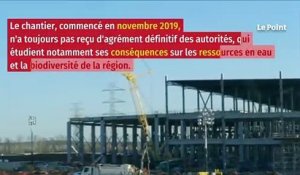 Elon Musk contrarié par les aspirations écologiques allemandes