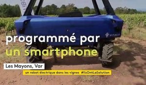 Un premier robot 100% autonome remplace l'homme dans les vignes de Provence