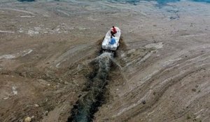 De la « morve de mer » envahit les côtes turques