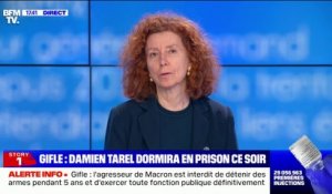 Emmanuel Macron giflé: pour cette magistrate, "les réquisitions du procureur étaient extrêmement sévères"