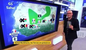Opération Barkhane : le point sur la situation au Sahel et les forces en présence