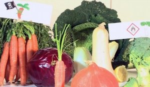 Manif' de légumes : tous ensemble pour une meilleure cuisson !