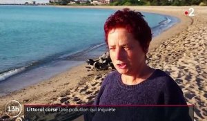Corse : nettoyage des plages en cours après la découverte de galets d'hydrocarbure