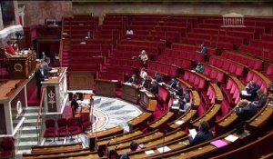 1ère séance : Article 1er de la Constitution - Préservation de l'environnement - Lundi 21 juin 2021