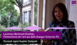 Laurence Bertrand Dorléac, l'historienne de l'art qui doit changer Sciences Po