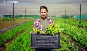 Des microalgues à haut potentiel alimentaire durable