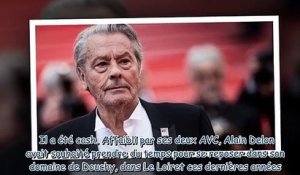 Alain Delon - pas tendre avec Emmanuel Macron, il réagit à l'épisode de la gifle