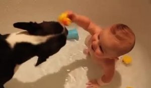 Un chien et un bébé jouent dans le bain