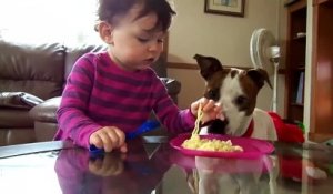 Ce chien affamé ôte la nourriture de la bouche du bébé