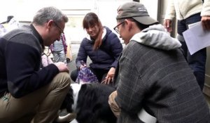TOKYO SHAKING Film - Making-of - 2 chiens pour le prix d'un