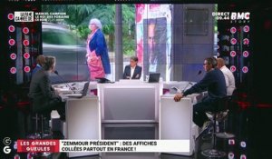 Le monde de Macron: "Zemmour président", des affiches collées partout en France ! - 29/06
