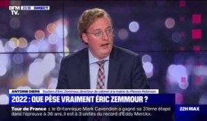 Antoine Diers: "Eric Zemmour est soutenu par des électeurs de la droite normale"