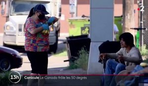 Canicule : l'ouest du Canada frôle les 50 degrés