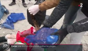 Corse : une station d'épuration rejette de la pollution plastique sur les plages