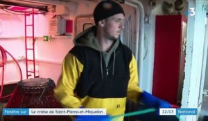 Saint-Pierre-et-Miquelon : pêcher le crabe des neiges, un savoir-faire et le respect de la ressource