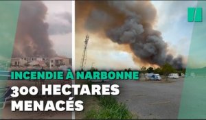 Aude: important feu de forêt dans le Massif de la Clape près de Narbonne