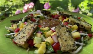 Gourmand - Salade Rojac