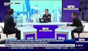 Christophe Capelli (Capelli): Les obligations vertes dans l'immobilier, un accélérateur de transition écologique dans le bâtiment ? - 08/07