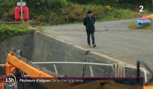 Finistère : découvrez le métier de pêcheur d'algues