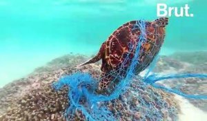 Cette asso récupère les filets de pêche abandonnés en mer