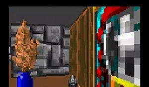 Wolfenstein 3D online multiplayer - snes