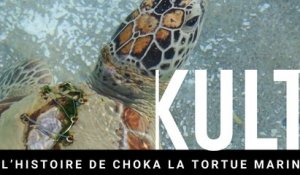 L’histoire de Choka la tortue marine