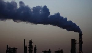Pollution de l'air : l'État condamné à verser 10 millions d'euros à des associations