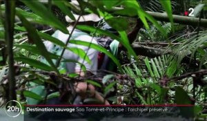 Sao Tomé-et-Principe : un archipel à la nature sauvage et préservée