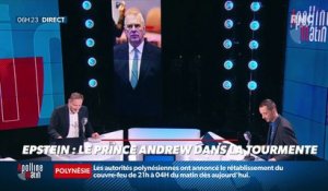 Le portrait de Brindelle : Qui est le prince Andrew ? - 11/08