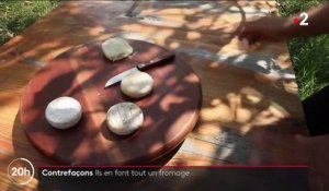 Ardèche : les contrefaçons du fromage de chèvre picodon fragilisent la filière AOP