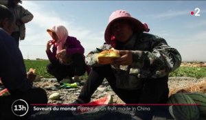 Pastèque : la Chine, premier producteur mondial