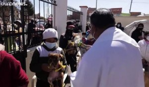 Bolivie : une messe en l'honneur de saint Roch, le saint patron des chiens