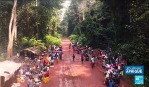Centrafrique : la prolifique saison des chenilles