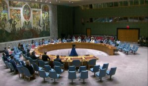 Afghanistan : la résolution de l'ONU pour des départs "sûrs" adoptée