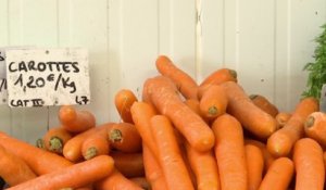 L'explosion du prix des fruits et des légumes