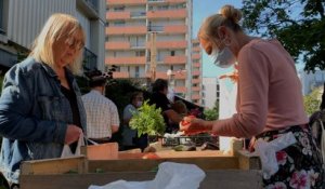 «Ca va partir vite !» : ces fruits et légumes bio à prix cassés du PCF ont du succès en Seine-Saint-Denis