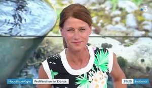 Environnement : le moustique tigre a proliféré en France cet été