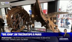 "Big John", le plus grand tricératops connu au monde va être vendu aux enchères