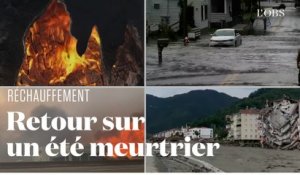 Réchauffement climatique : l'été de toutes les catastrophes