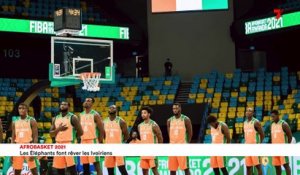 Afrobasket 2021 : les Eléphants font rêver les Ivoiriens